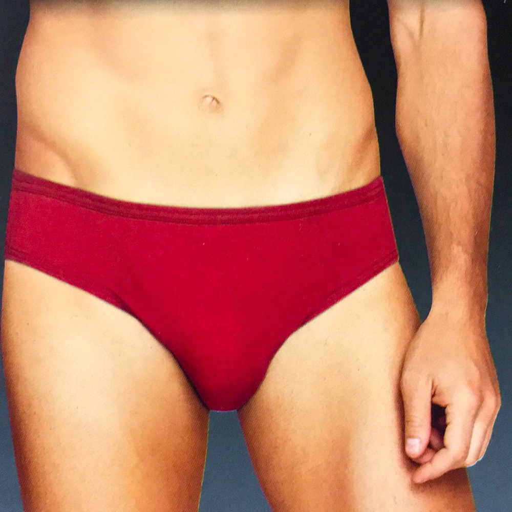 Hanes Bikini Briefs - Medium - Choose the color>